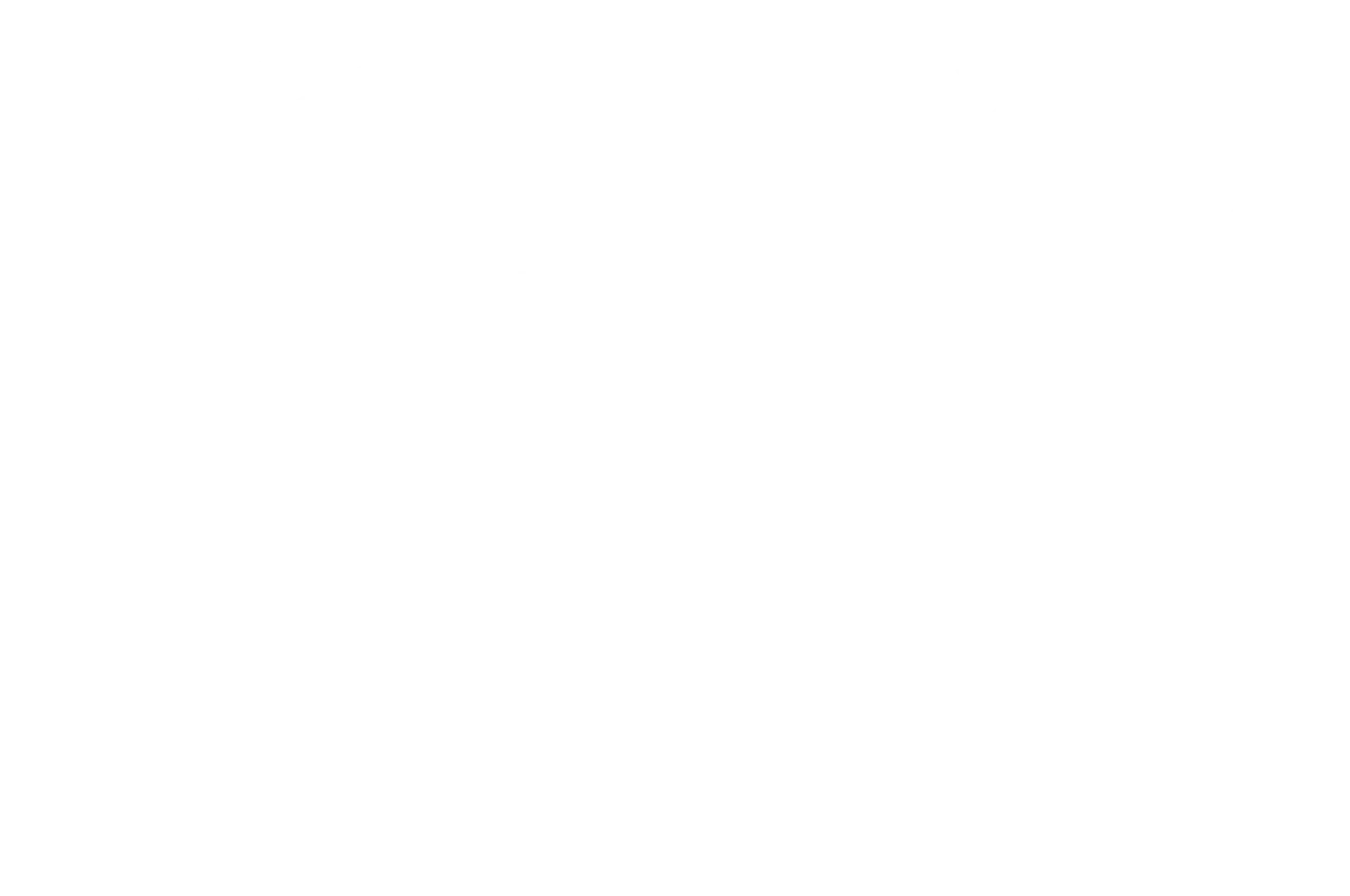 Official selection — Bizarrya Short Film Festival, 2022
