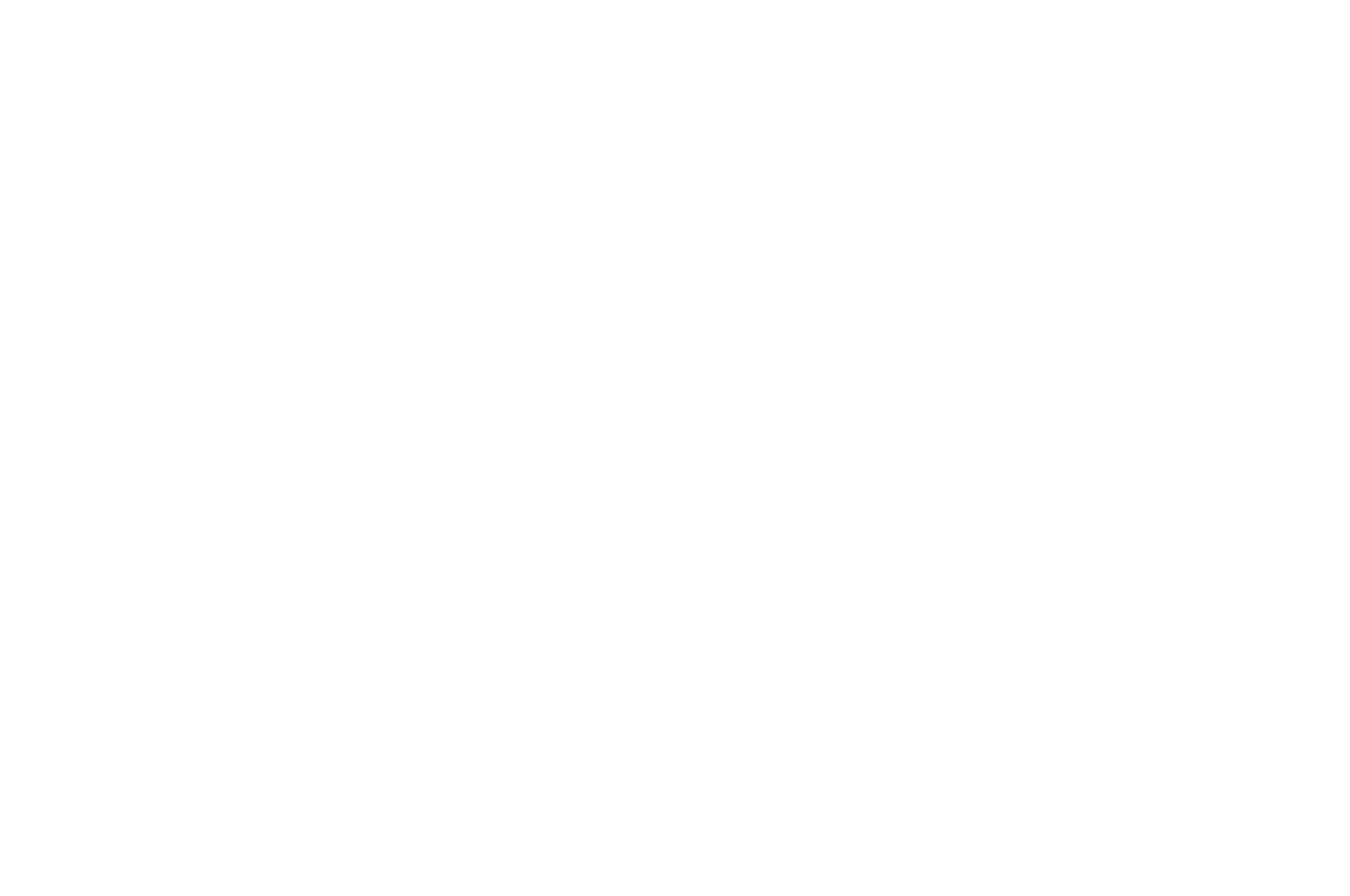 Official selection — Brno Film Festival, 2021