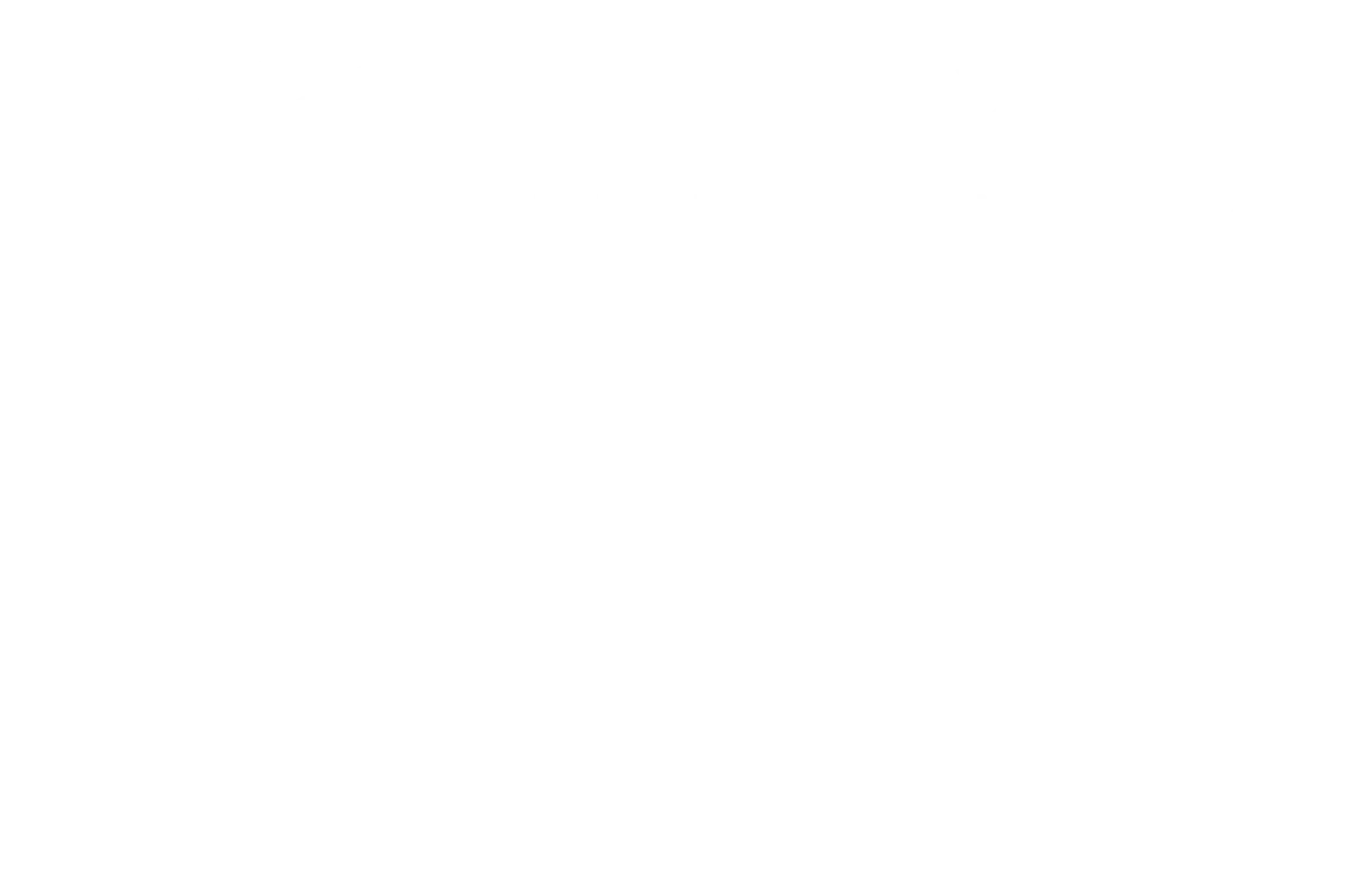 Official selection — Montreal Independent Film Festival, 2021